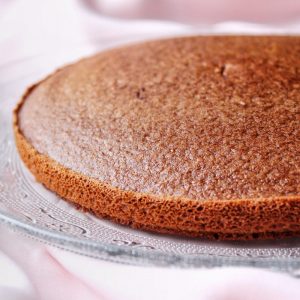 génoise chocolat pour forêt noire vegan sans gluten sans lactose végétarien