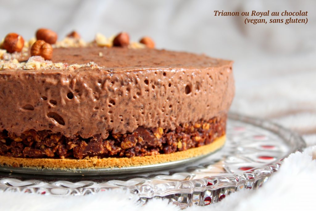 Trianon ou royal au chocolat vegan, sans gluten, sans lactose, végétarien